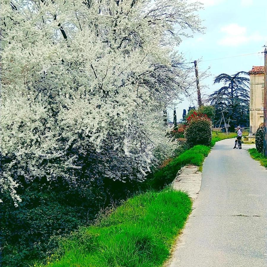 مبيت وإفطار Roussillon en Isere Le Mas De Roussillon المظهر الخارجي الصورة